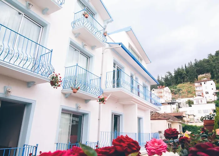 Hotel Infinity 3*